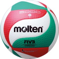 Molten Volleybal V5M5000