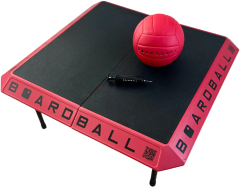 Boardball